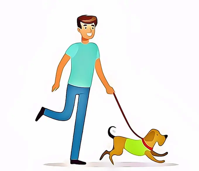 Analyse des données