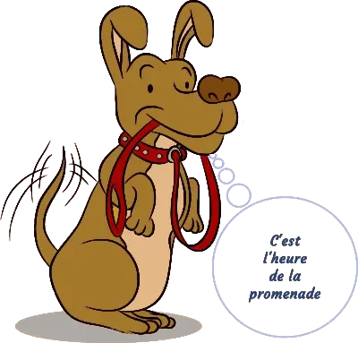 Promenade éducative collective